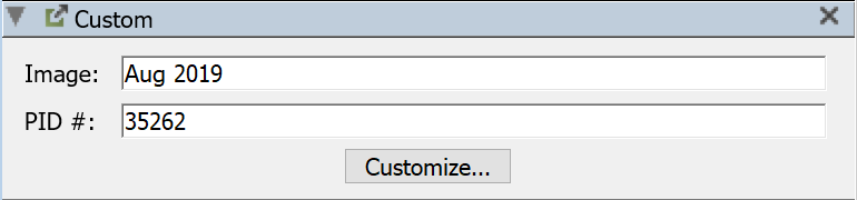 Custom Pane in Computer Details Window
