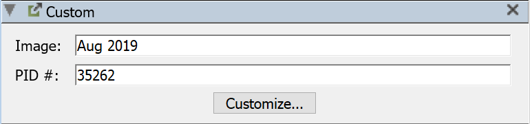 Computer Details Custom Columns Pane